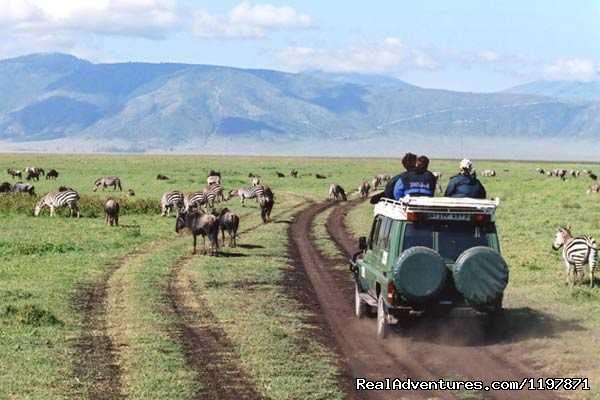 14 Nights Safari In Kenya And Tanzania | Image #7/9 | 
