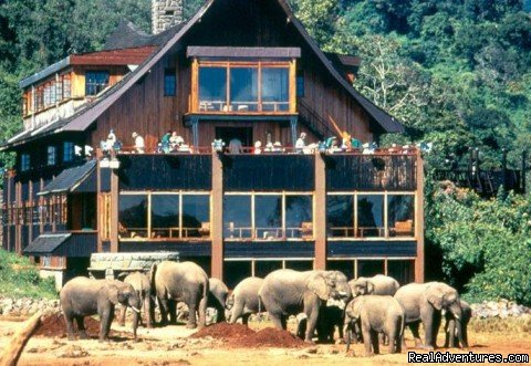 The Ark Hotel In Aberdare National Park | 14 Nights Safari In Kenya And Tanzania | Nairobi, Kenya | Wildlife & Safari Tours | Image #1/9 | 