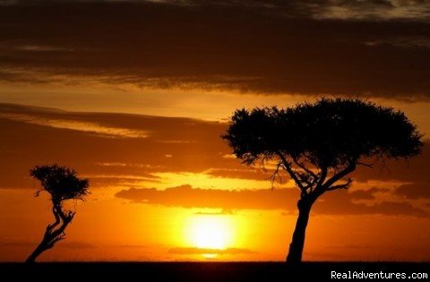 African Sun Set