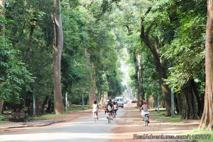 Cycling tours to explore Angkor Wat, Cambodia | Cycling to Coastal Cambodia 8 days | Image #7/10 | 
