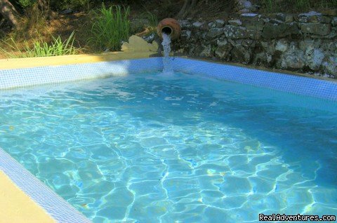 The pool fed by an amphora | Vineyard Cottage in Bodrum, Private pool | Image #5/12 | 