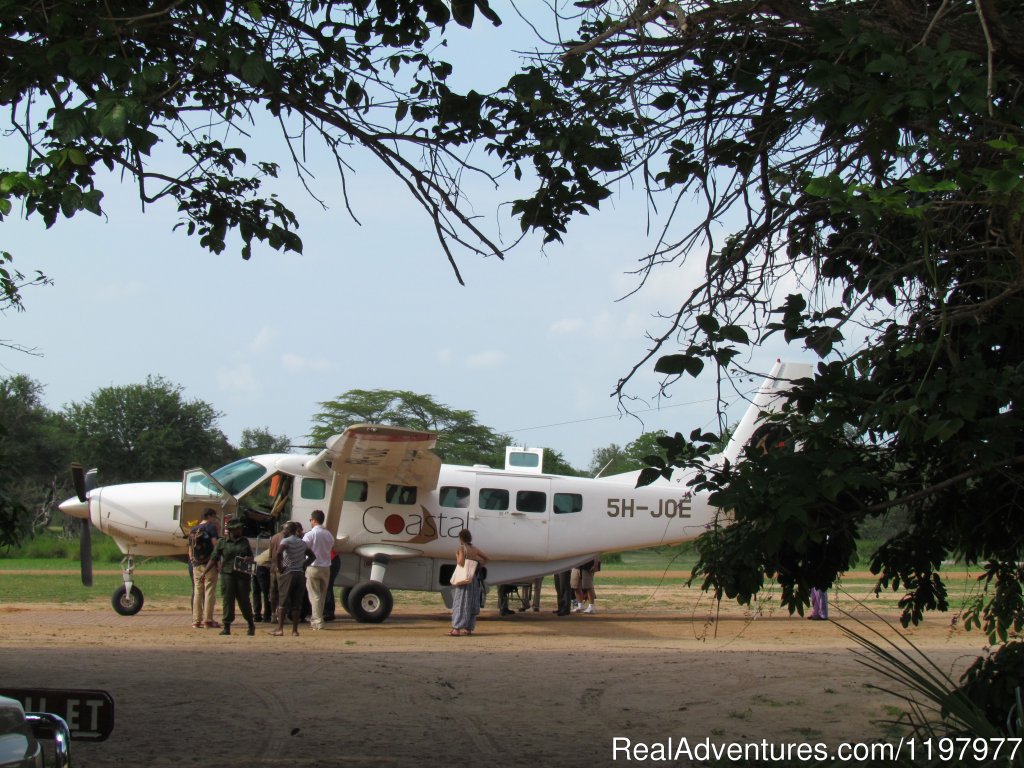 Selous Gr | Uhuru Travel & Tours Ltd | Image #15/20 | 