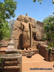Travel Agency | Sri Lanka, Sri Lanka Sight-Seeing Tours | India Sight-Seeing Tours