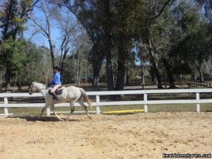 Beautiful Trail Rides Minutes from Downtown Ocala