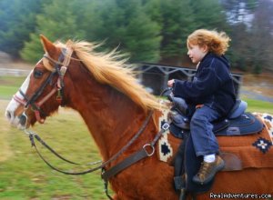 Come Horse around  at Foxwoode Farms!  | Todd, North Carolina Horseback Riding & Dude Ranches | North Carolina