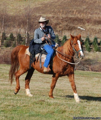Come Horse around  at Foxwoode Farms!  | Image #2/13 | 