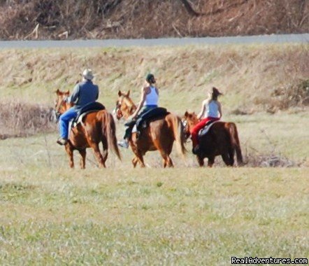 Come Horse around  at Foxwoode Farms!  | Image #3/13 | 