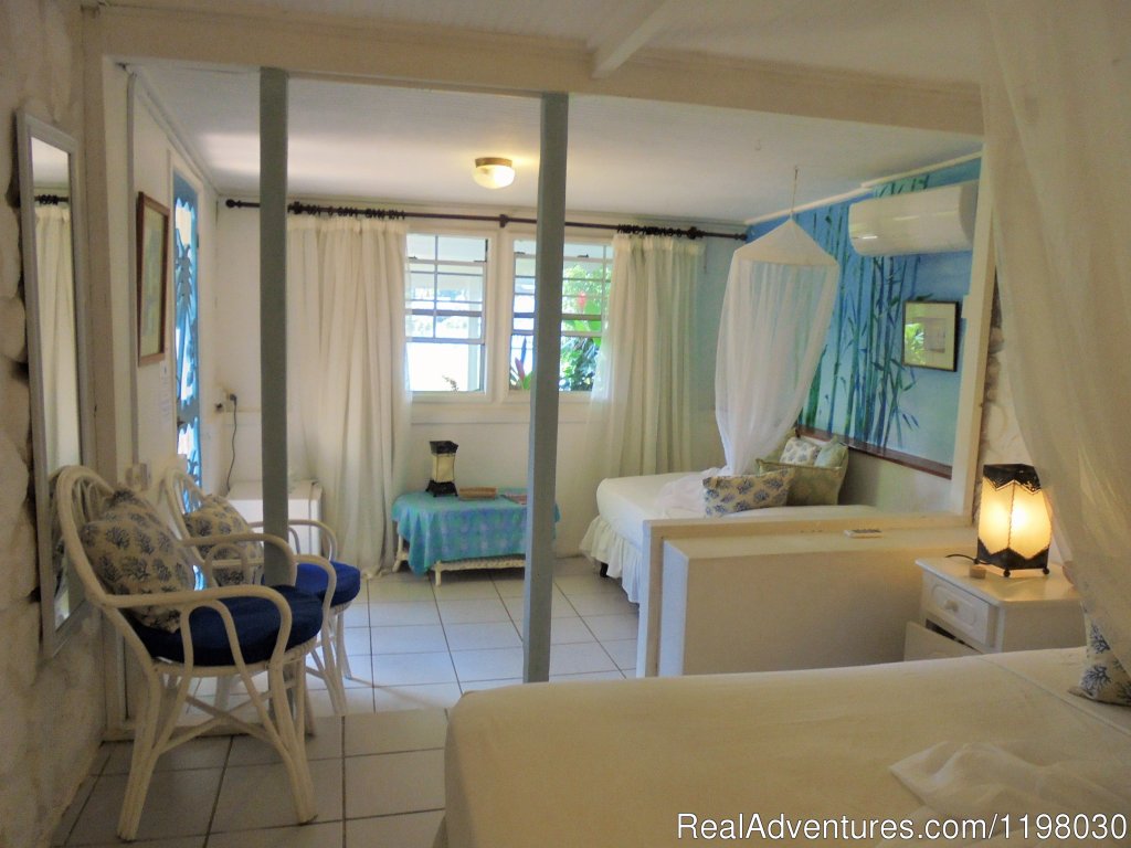 Blue Bamboo Cottage looking out to the garden | Mango Beach Inn, Adventure Lodge | Image #6/26 | 