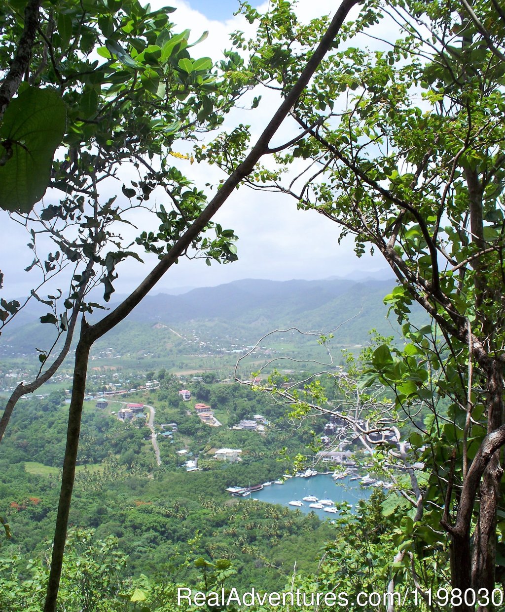 Top of the Martinique trail | Mango Beach Inn, Adventure Lodge | Image #10/26 | 