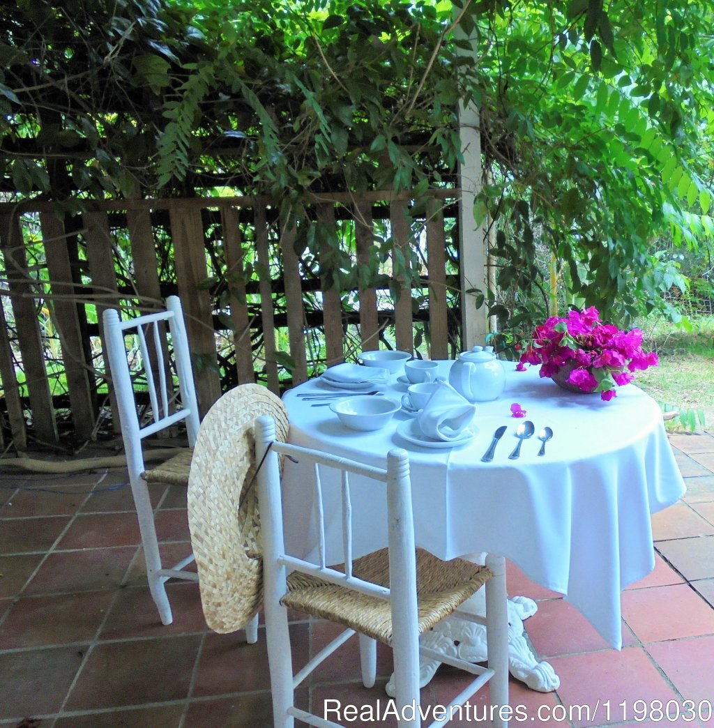 Breakfast on the Green Fig Room private patio | Mango Beach Inn, Adventure Lodge | Image #13/26 | 