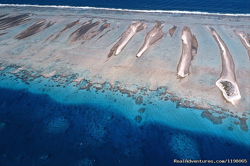 Atoll of Rangiroa | Pension BOUNTY  Rangiroa Paradise Atoll | Image #7/22 | 