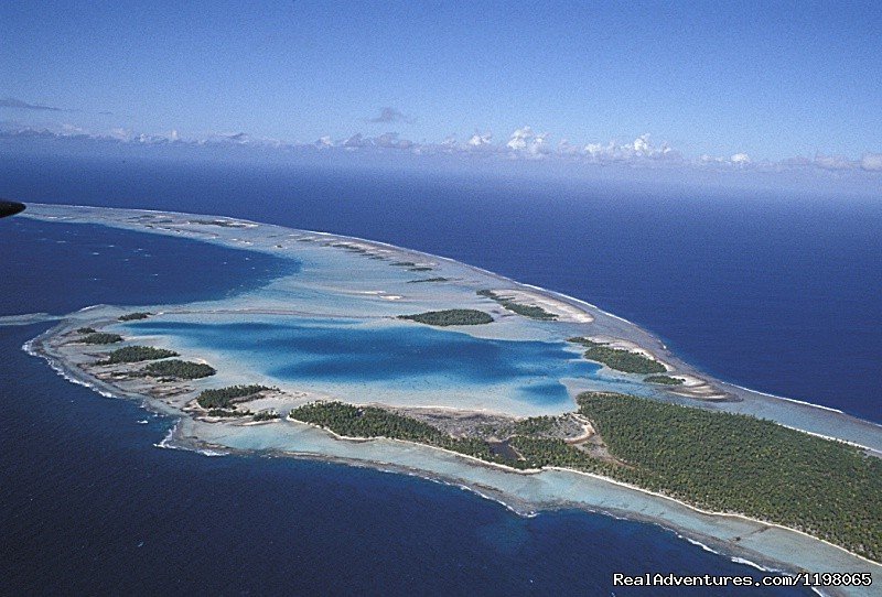 Blu Lagoon Rangiroa | Pension BOUNTY  Rangiroa Paradise Atoll | Image #3/22 | 