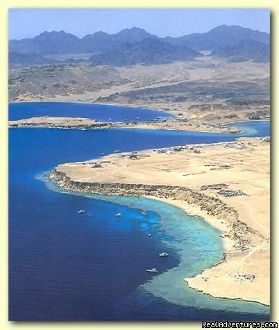 Sharm El Sheikh  | The best tours to the Land of Pharoahs Egypt | Image #5/15 | 