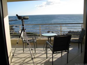 Whale watching at  Whale Cove A104 | Gansbaai, South Africa Whale Watching | Great Vacations & Exciting Destinations
