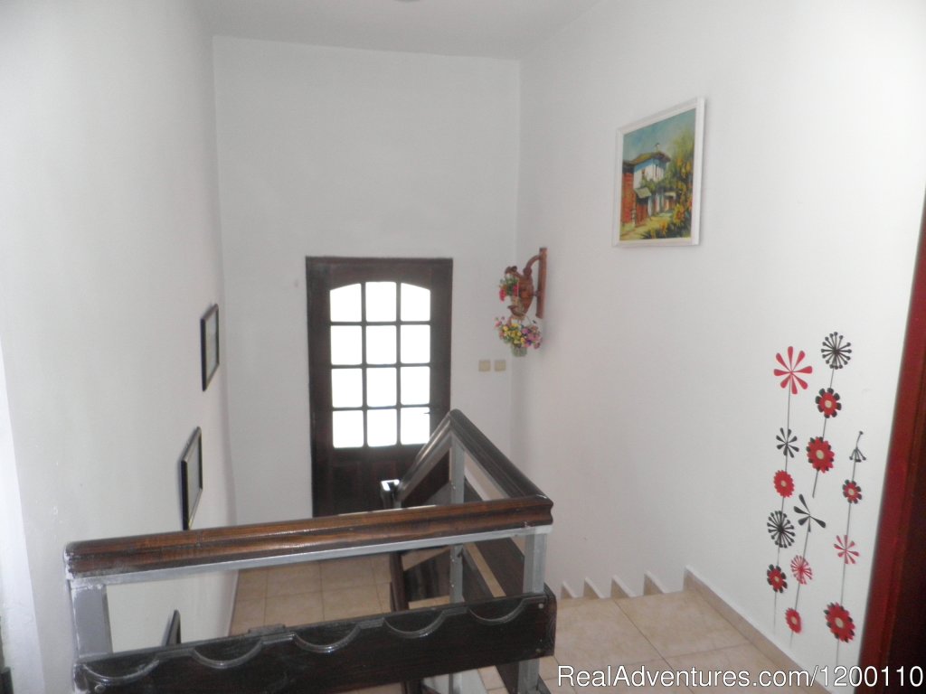 Three Bedroom House With Garden Nr Veliko Tarnovo | Image #7/21 | 