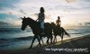 Florida Horseback Riding On the Beach | Cape San Blas, Florida
