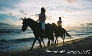 Florida Horseback Riding On the Beach