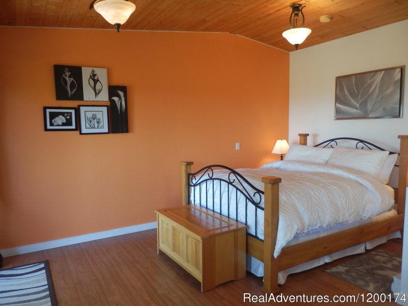 Red Cedar Suite | Armand Heights | Salt Spring Island, British Columbia  | Bed & Breakfasts | Image #1/13 | 