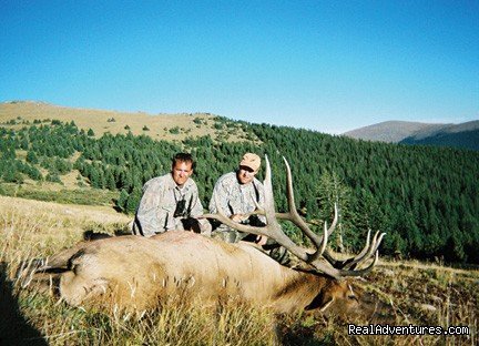 Colorado Elk Hunts | C Lazy U Ranch... Colorado's Premier Guest Ranch | Image #11/23 | 