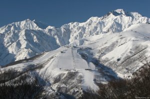 Hakuba Powder Tours - Japanese Skiing at its Best