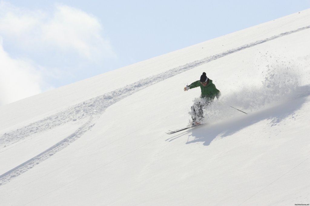 Amazing off piste powder | Hakuba Powder Tours - Japanese Skiing at its Best | Image #2/23 | 