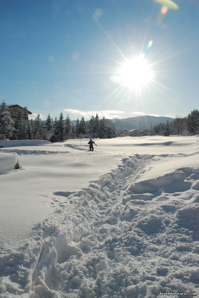 Powder trail, Hakuba | Hakuba Powder Tours - Japanese Skiing at its Best | Image #7/23 | 
