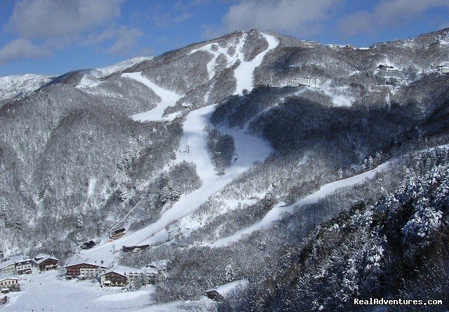 Shiga Kogen ski runs | Hakuba Powder Tours - Japanese Skiing at its Best | Image #13/23 | 