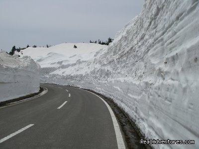 Nagano annual snowfall is around 11-14m! | Hakuba Powder Tours - Japanese Skiing at its Best | Image #15/23 | 