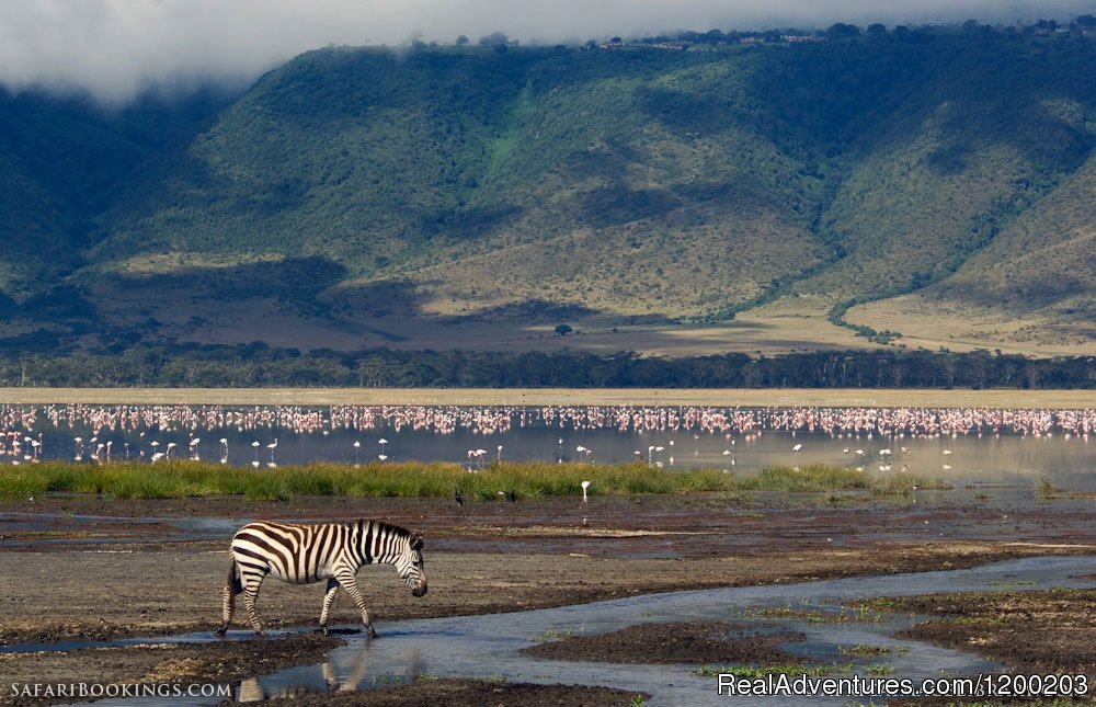 Ngorongoro crater in Tanzania | Welcome to East Africa - Land of  Beauty: | Image #6/26 | 