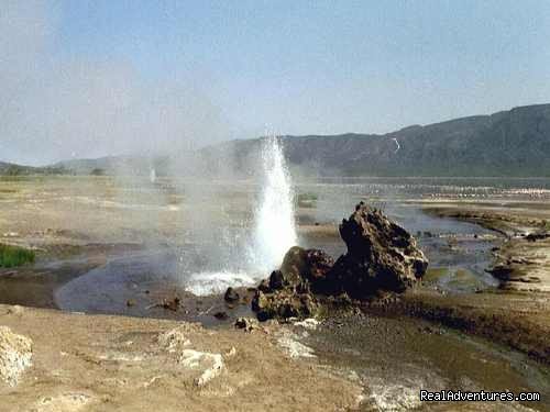 Bogoria Hotspring | Welcome to East Africa - Land of  Beauty: | Image #24/26 | 