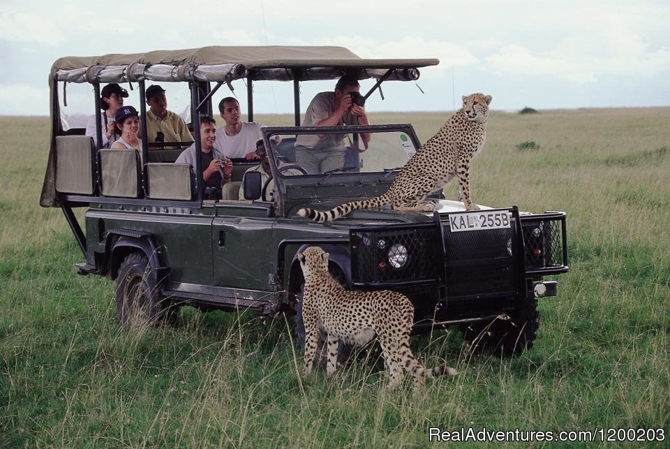 Guests Enjoying their Game drive in Masai Mara | Welcome to East Africa - Land of  Beauty: | Image #25/26 | 