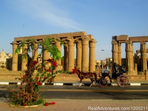 Habibitours | Cairo, Egypt Sight-Seeing Tours | Egypt Sight-Seeing Tours