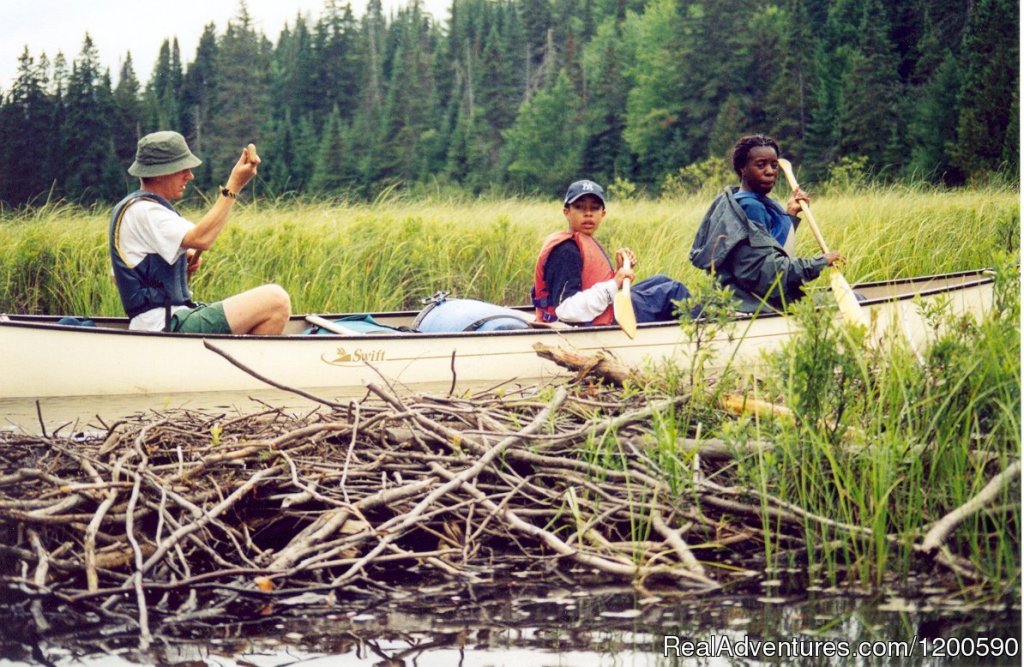 Family trips | Wilderness canoe trips in Algonquin Park | Image #8/8 | 