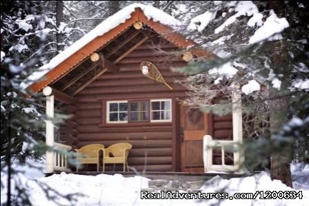 Historic Log Cabin - Double | Storm Mountain Lodge and Cabins | Image #6/10 | 