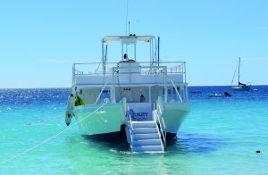 Swim With Turtles In Barbados | Scuba & Snorkeling Bridgetown, Barbados | Scuba & Snorkeling Caribbean