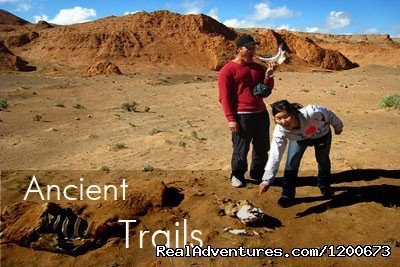 Ancient trials tour | Travel Buddies Tour Operator | Ulaanbaatar, Mongolia | Sight-Seeing Tours | Image #1/8 | 