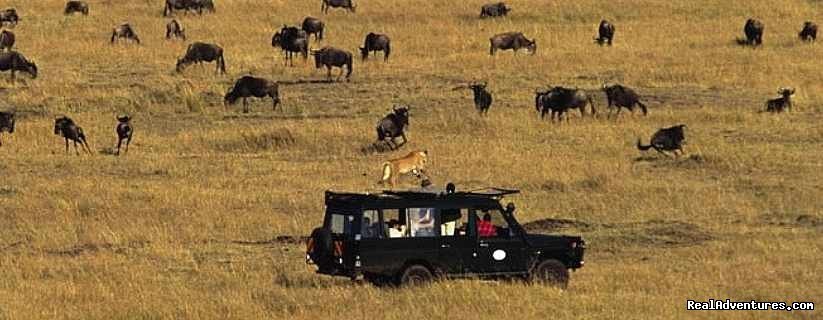 Game Safaris | Lets Go Travel  - Great deals on Adventure | Image #5/7 | 