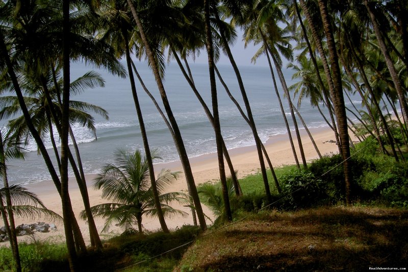 Beach Front Home Stay In Kannur | Image #5/8 | 