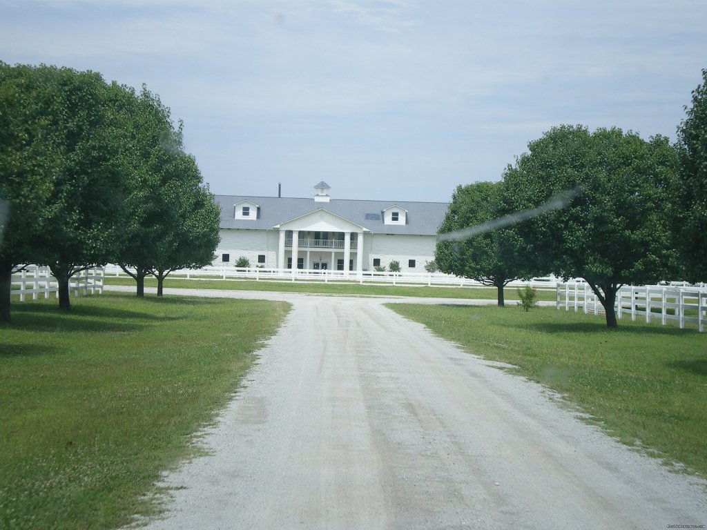 Exquisite Stables located in Peaceful Fishing town | Image #3/5 | 