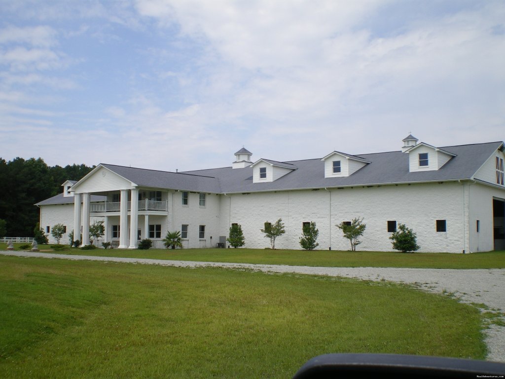 Exquisite Stables located in Peaceful Fishing town | Image #4/5 | 