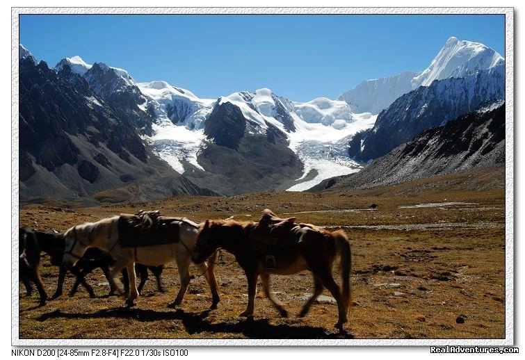 Trekking Minya Gongga - King of Sichuan Mount tour | Sichuan, China | Hiking & Trekking | Image #1/4 | 