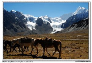 Trekking Minya Gongga - King of Sichuan Mount tour