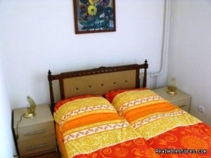 1 bed room LUX apartment in the center of Minsk | Belarus, Belarus Bed & Breakfasts | Belarus Accommodations