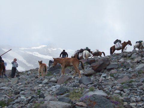 CLIMBING ARARAT