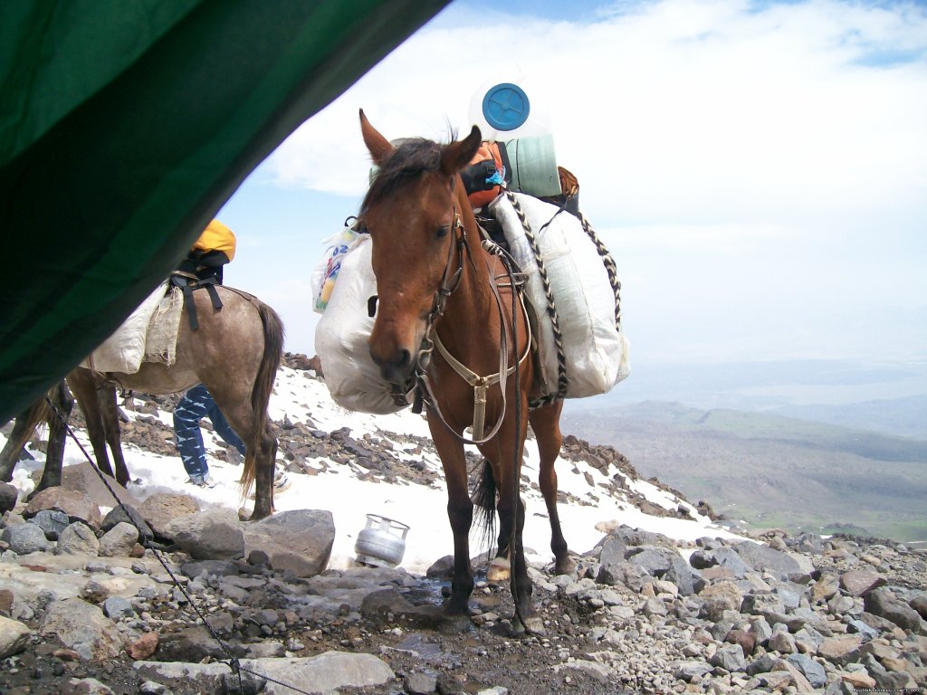 Camp 2 | Trekking Ararat,Ararat Expedition,Ararat Ski tours | Image #14/16 | 