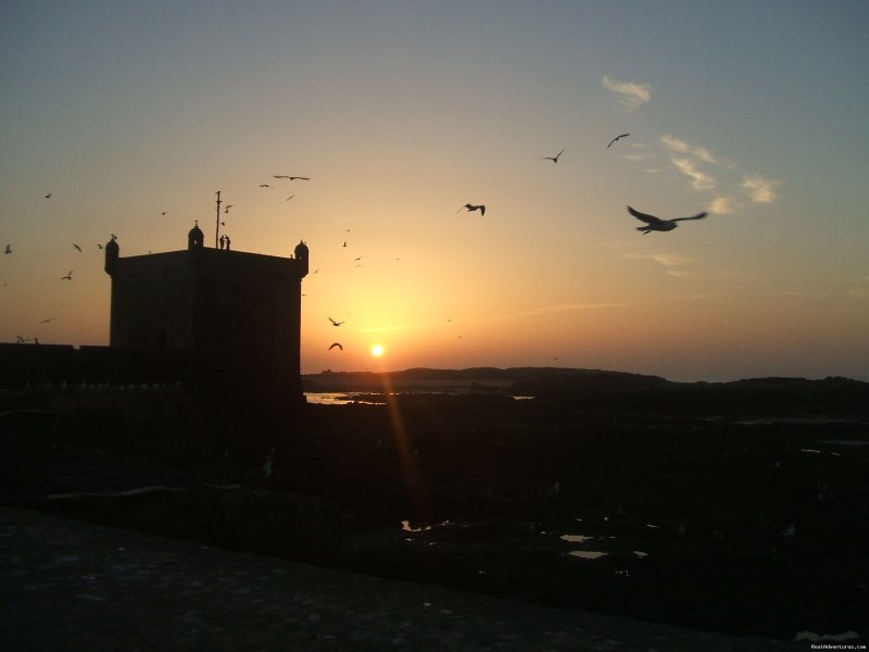Escapes to Essaouira | Travel agent/ adventure- culture trips to Morocco  | Image #12/24 | 