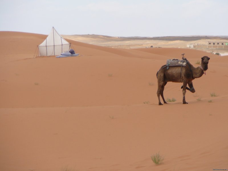 backroads of Morocco/ 4x4 drive away | Travel agent/ adventure- culture trips to Morocco  | Image #23/24 | 