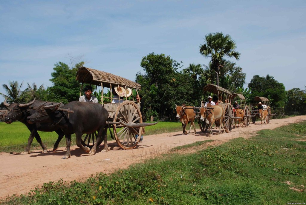 Floating Village and Bird Watching Tour | Image #4/7 | 