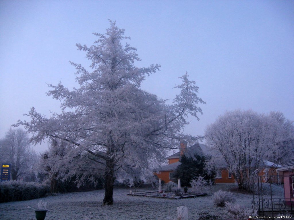 Headley Court garden winter | Headley Court **** | Image #20/26 | 