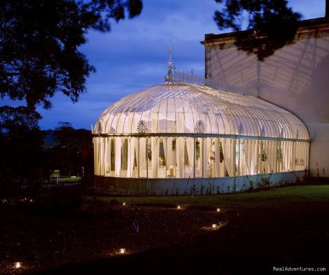 Turner Conservatory by night